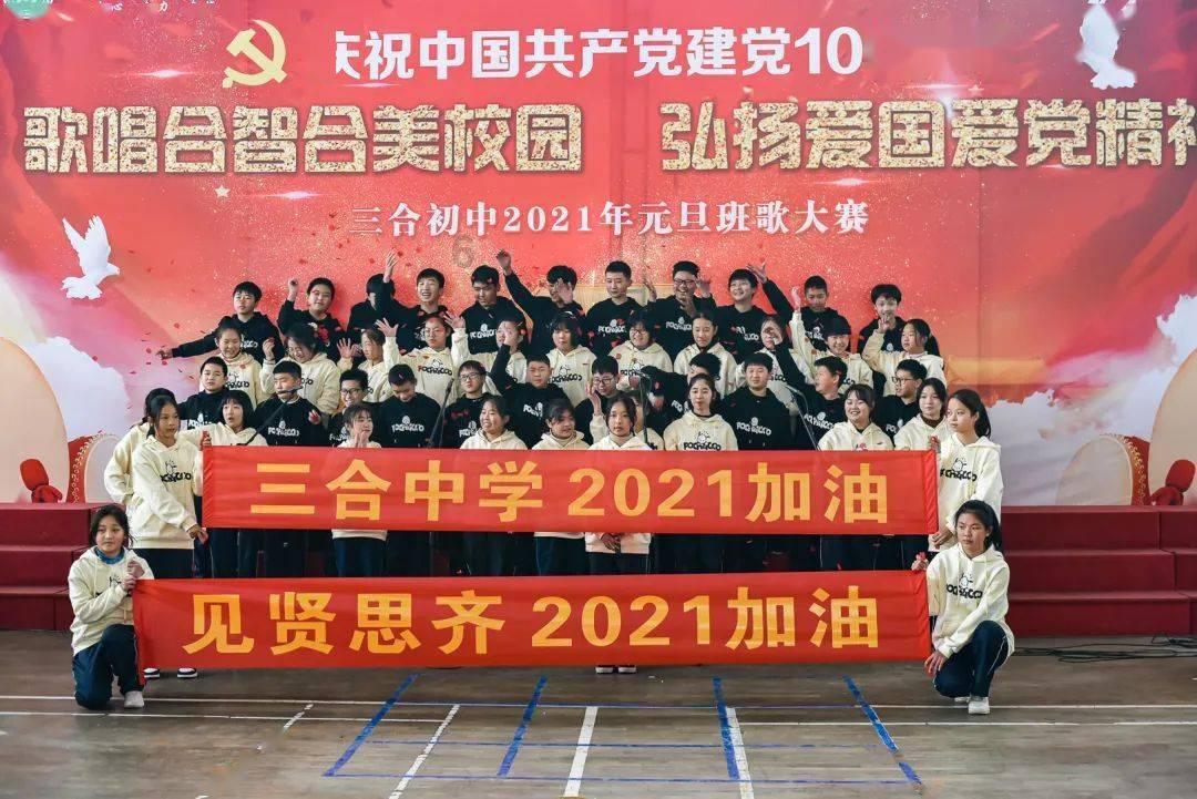 救援瓢虫宝宝